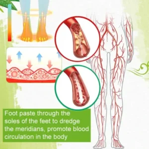Meridian Detox Foot Patch