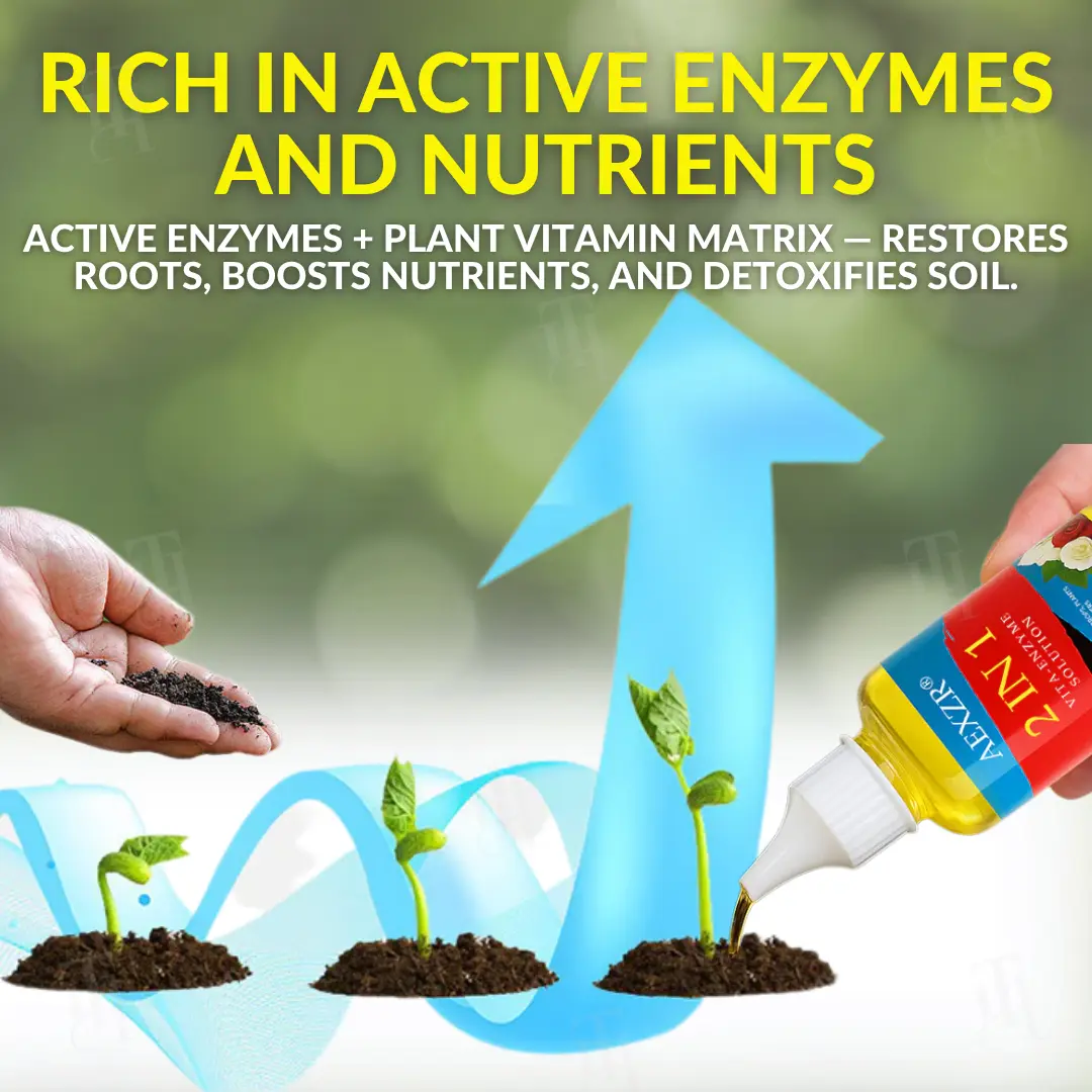 2 in 1 Vita-Enzyme Solution - Image 5