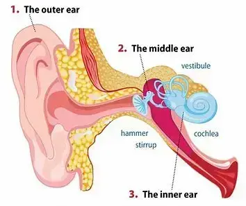 Instant Tinnitus Relief Nasal Inhaler - Image 5