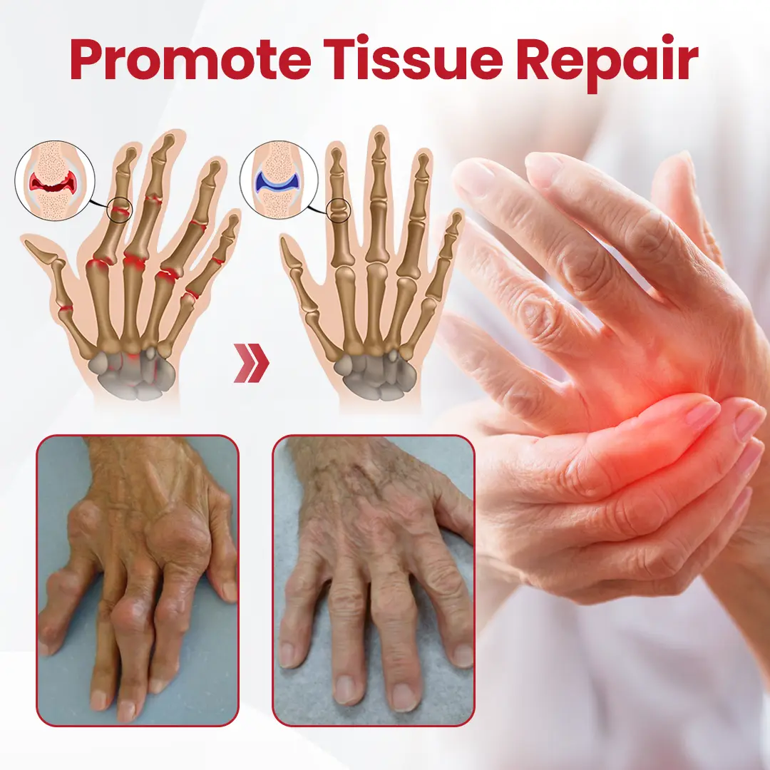 HorseEase Joint Relief Cream - Image 5
