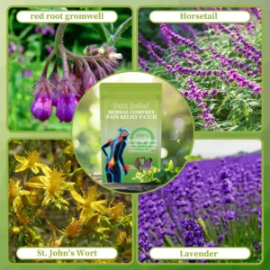 Alternative view of Traditional Secret Formula Organic Herbal Patch