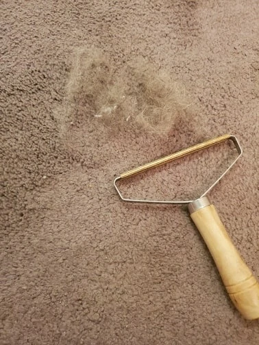 (🔥HOT SALE NOW-48% OFF) LINT CLEANER (🔥Buy 2 Get 2 Free) - Image 6