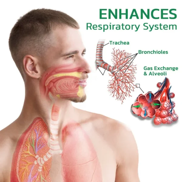 AirRelief Herbal Lung Cleanse Spray - Image 2