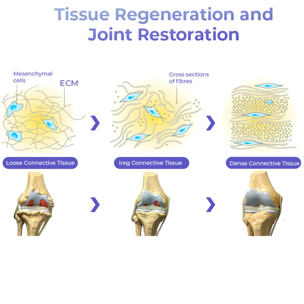 Pro PainRelief Restorative Joint Spray - Image 5