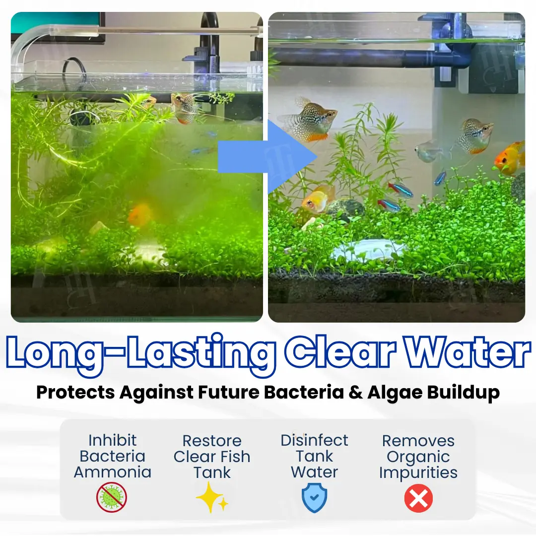 Max-Power Aquarium Purification Tablet - Image 4