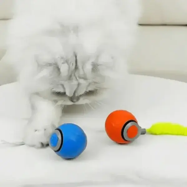 SPEEDY TAIL 2.0 - Image 6