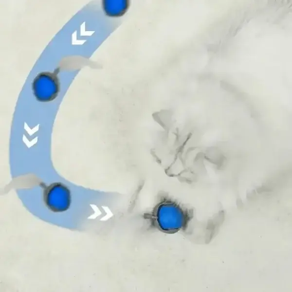 SPEEDY TAIL 2.0 - Image 5