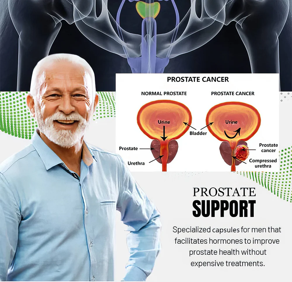 TRADITIONAL FRESHY Prostate Support Tea - Image 6