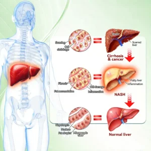 💖💖 AGELESSORY® 𝙈𝒐𝒓𝒊𝒏𝒈𝗮 · 𝗕𝗲𝗿𝗯𝐞𝐫𝐢𝐧𝙚 × 𝙉𝑨𝑫+ 𝟏𝟎-𝙞𝙣-𝟏 𝘼𝒅𝒗𝒂𝒏𝒄𝒆𝐝 𝐍𝐚𝐧𝙤 𝙈𝙞𝙘𝙧𝙤𝙣𝒆𝒆𝒅𝒍𝐞 𝐏𝐚𝐭𝙘𝙝(𝐉𝐮𝐬𝐭 𝐨𝐧𝐜𝐞 𝐚 𝐝𝐚𝐲, 𝐯𝐢𝐬𝐢𝐛𝐥𝐞 𝐜𝐡𝐚𝐧𝐠𝐞𝐬 𝐢𝐧 𝟕 𝐝𝐚𝐲𝐬） ✅ 𝐅𝐨𝐫 𝐨𝐛𝐞𝐬𝐢𝐭𝐲, 𝐝𝐢𝐚𝐛𝐞𝐭𝐞𝐬, 𝐬𝐥𝐞𝐞𝐩 𝐚𝐩𝐧𝐞𝐚, 𝐣𝐨𝐢𝐧𝐭 𝐢𝐬𝐬𝐮𝐞𝐬, 𝐚𝐧𝐝 𝐦𝐨𝐫𝐞