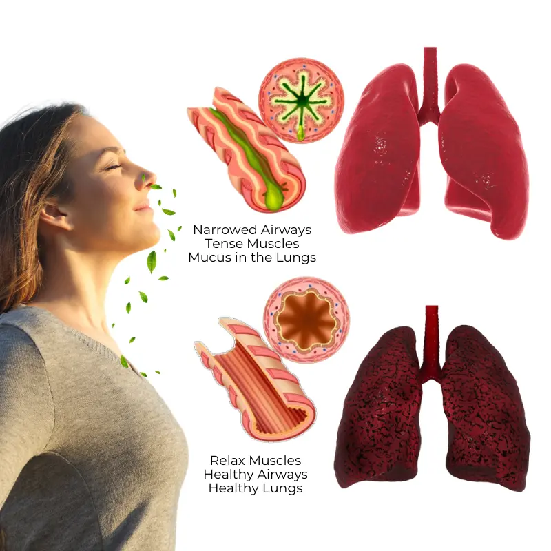 RespiCleanse Herbal Lung Detox Inhaler. - Image 4