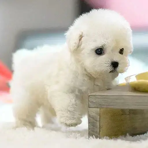 My Realistic Robot Puppy - Image 7