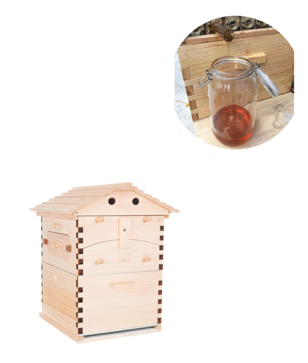 The Honey Sweet Hive