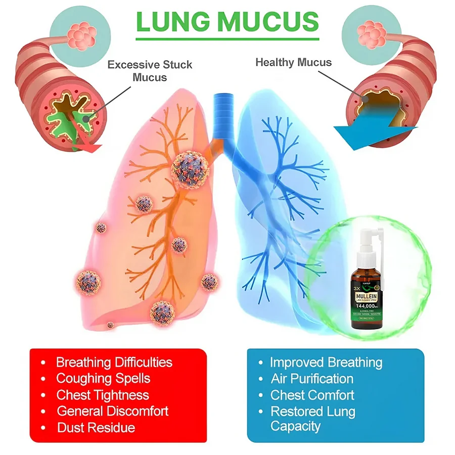 3X Concentrated Mullein Lung Cleanse Spray - Image 3