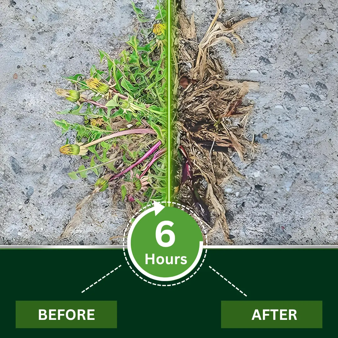 2 in 1 Max Power Herbicide (75% ๐๐ฝ๐ฝ ๐๐ก๐๐ฆ ๐๐ก ๐ญ๐ฌ ๐ ๐๐ก๐จ๐ง๐๐ฆ) - Image 5