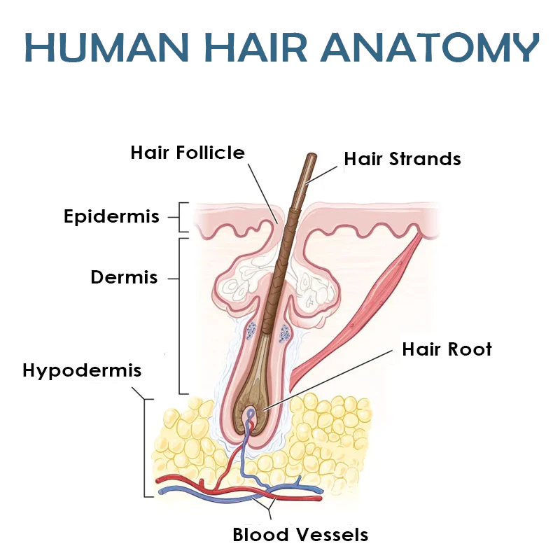 ATTDX MinoxidilPro HairRegrowth FoamShampoo - Image 4
