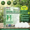 🇺🇸 𝐎𝐟𝐟𝐢𝐜𝐢𝐚𝐥 𝐔𝐒 𝐒𝐭𝐨𝐫𝐞 | 🧑‍⚕️🩺 Doctor-Recommended Daily Metabolic Support 10-in-1 Moringa · Berberine + NAD+ Nano Patch