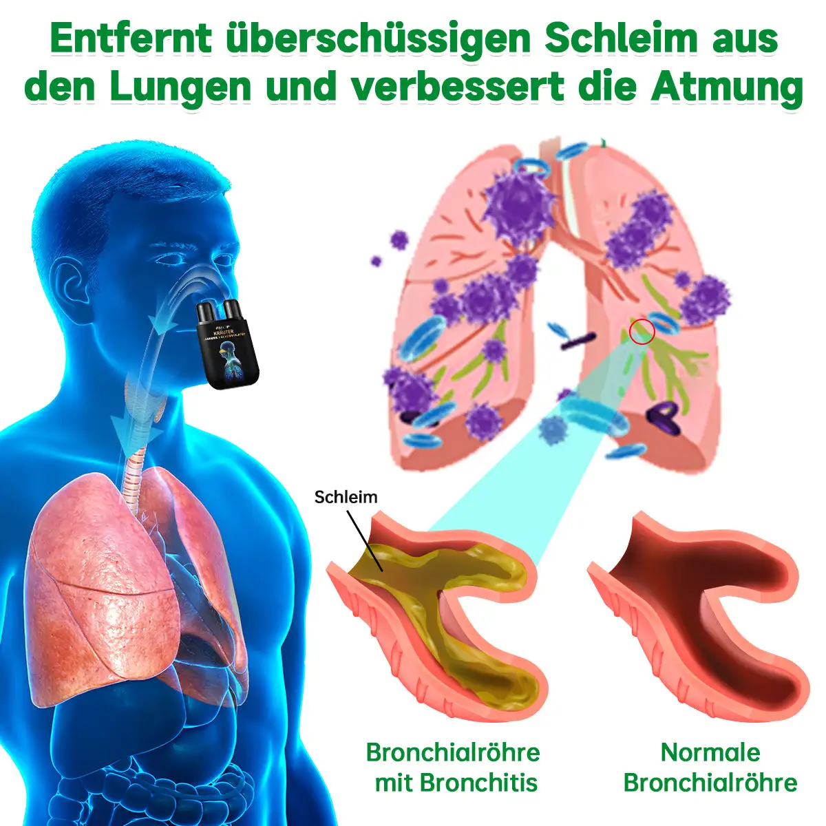 Kräuter-Lungenreinigungsinhalator - Image 4