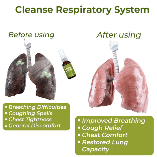 ️ BreathDetox Herbal Lung Cleansing Spray - Image 5