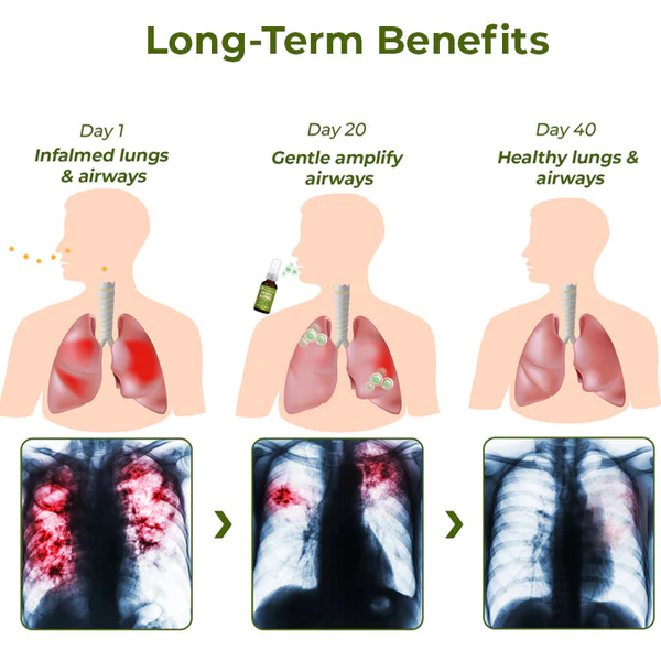 ️ BreathDetox Herbal Lung Cleansing Spray - Image 3