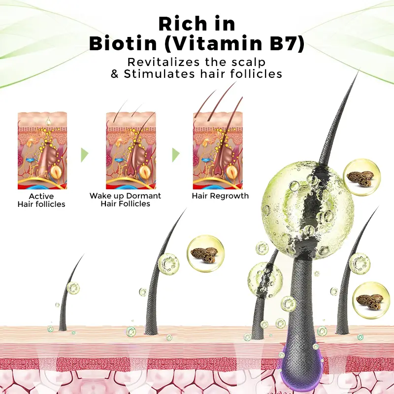 ๐๐๐๐ข๐๐ข๐๐ฅ ๐๐ญ๐จ๐ซ๐ | Hair Regrowth System For Hair Growth & Eyebrow Nourishment - Image 4