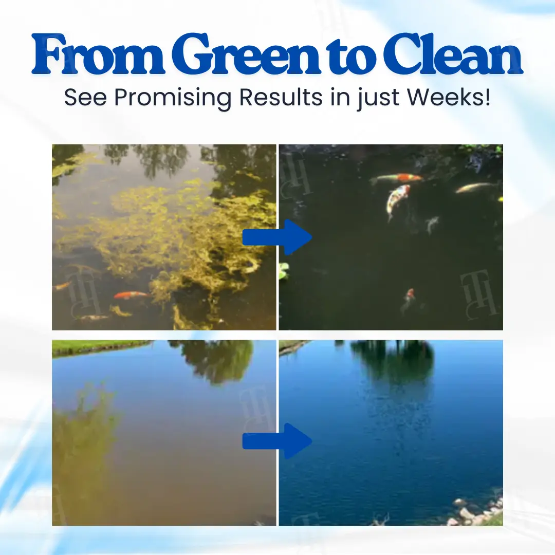 LOWEST PRICE - 50% OFF | Aqua-Guardian Pro Formula - Image 2