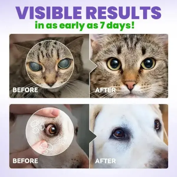 Pet Eye Drops - Image 5