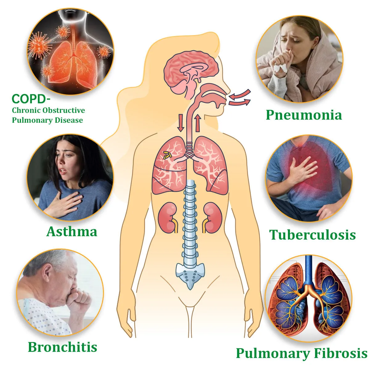 Herbal Lung Cleansing Inhaler - Image 3