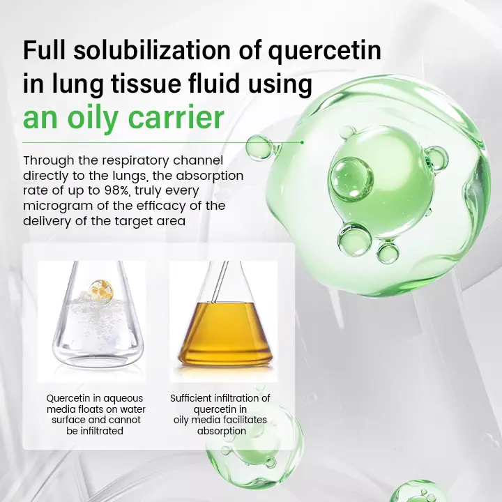 Pulmovia Quercetin Lung Detox Inhaler - Image 7
