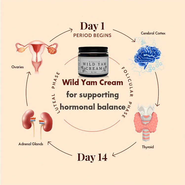 Wild Yam Cream - Image 7