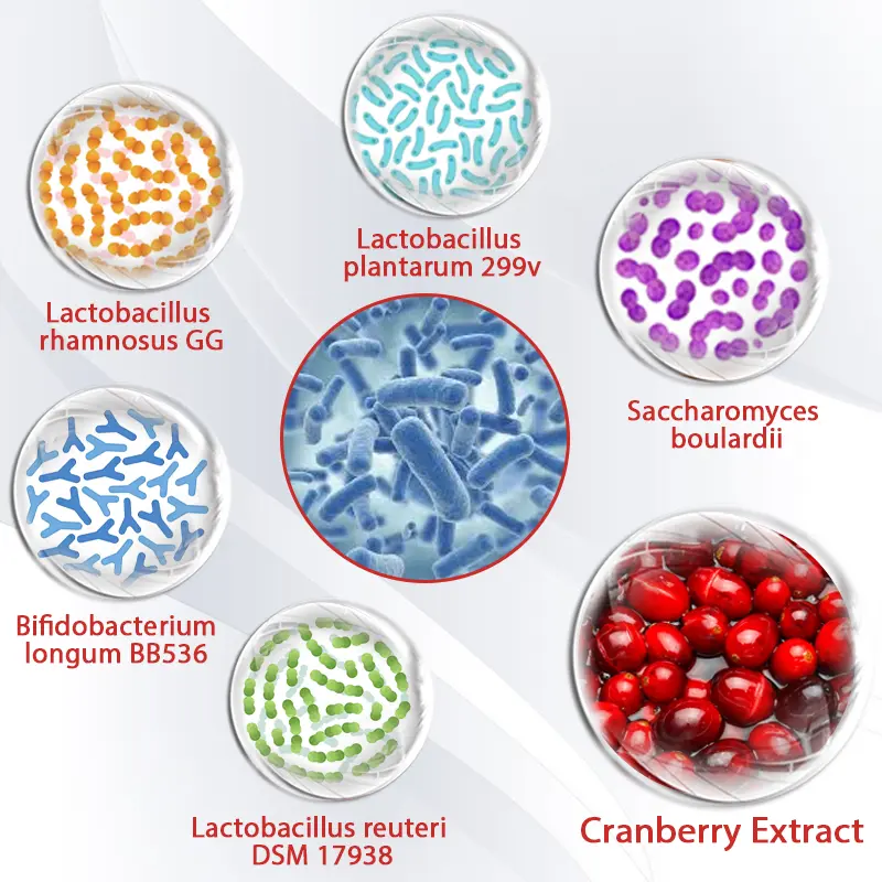 MaxCore+ Manergy Probiotics - Image 7