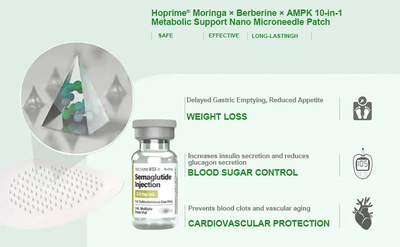 Moringa · Berberine × AMPK+ 10-in-1 Metabolic Support Nano Microneedle Patch - Image 6