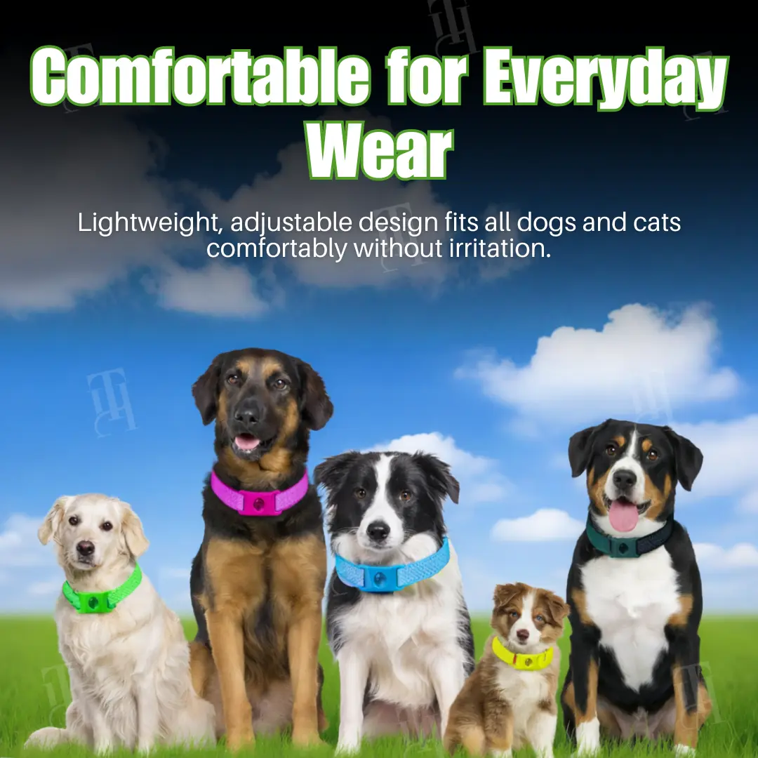 12-Month Natural Prevention Collar - Image 5