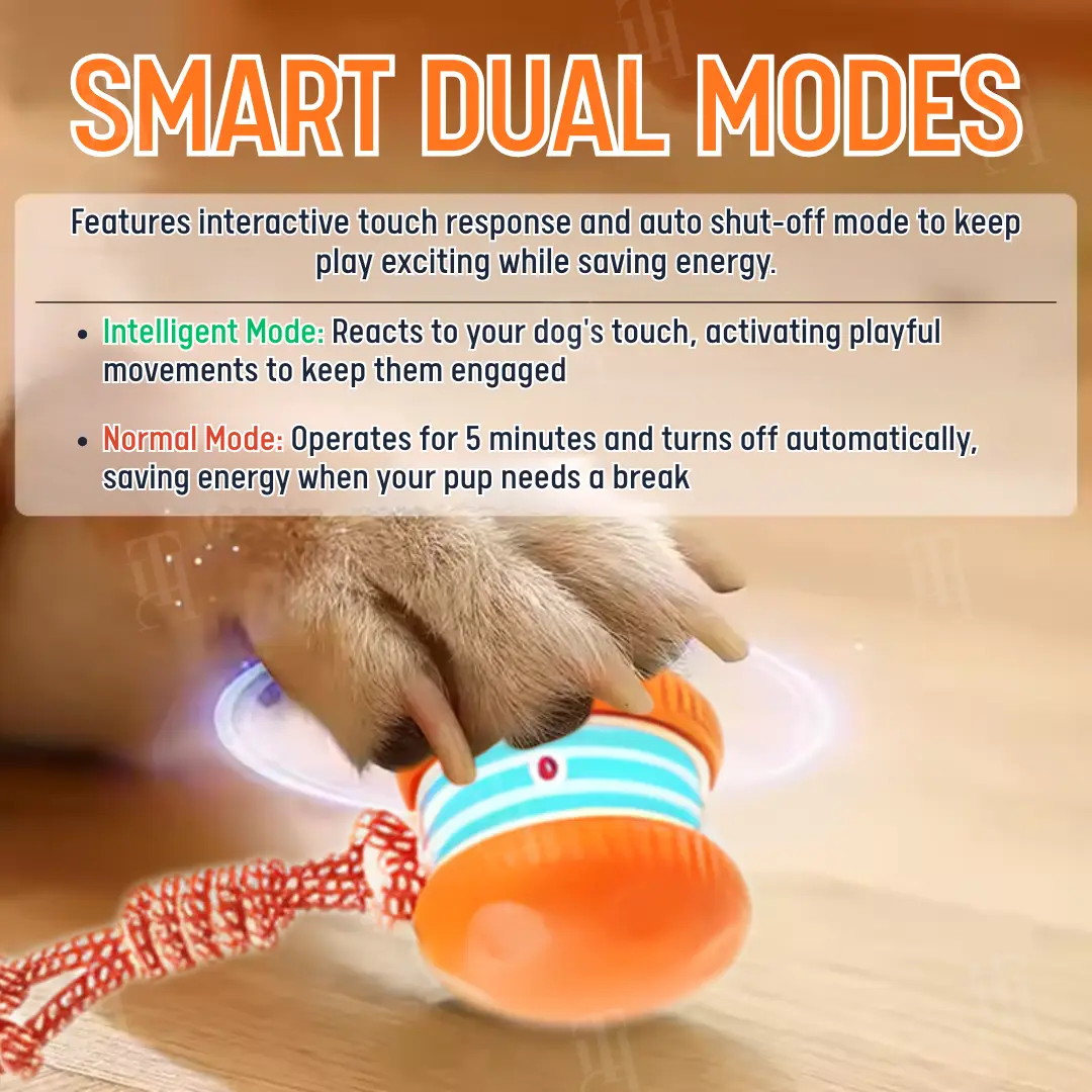 Interactive Moving Dog Ball (ππ% ππ½π½ ππ‘ππ¦ ππ‘ ππ¬ π ππ‘π¨π§ππ¦) - Image 5