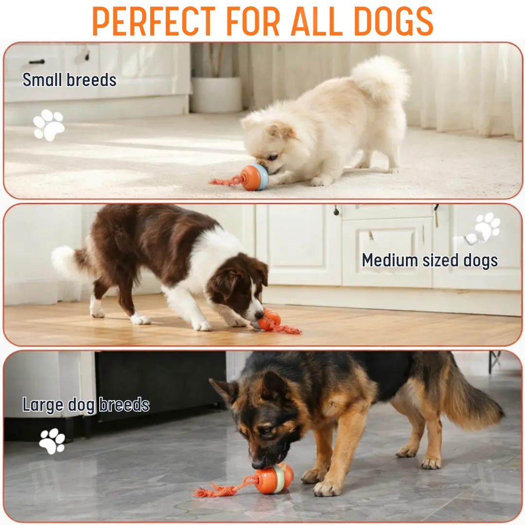 Interactive Moving Dog Ball (ππ% ππ½π½ ππ‘ππ¦ ππ‘ ππ¬ π ππ‘π¨π§ππ¦) - Image 6