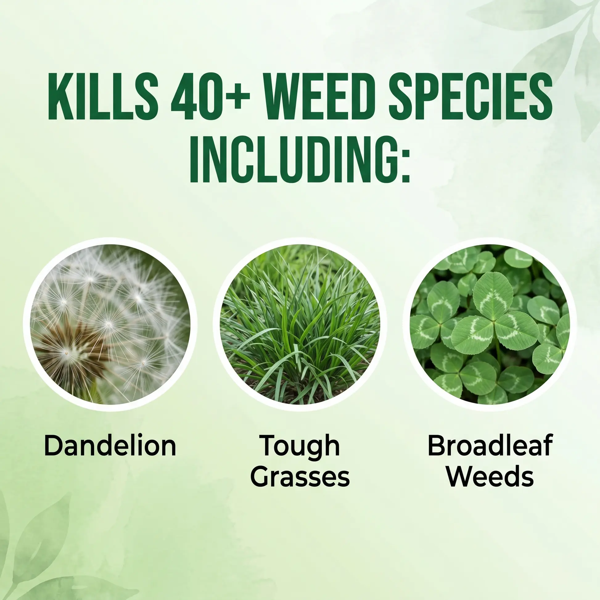 2-in-1 Max Strength Herbicide: Fast Acting Results on Glyphosate-Resistant Weed - Image 4