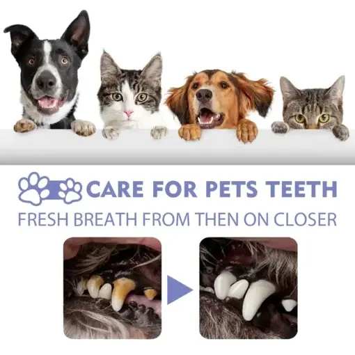 No-Brushing Oral Care Spray for Dogs & Cats - Image 5