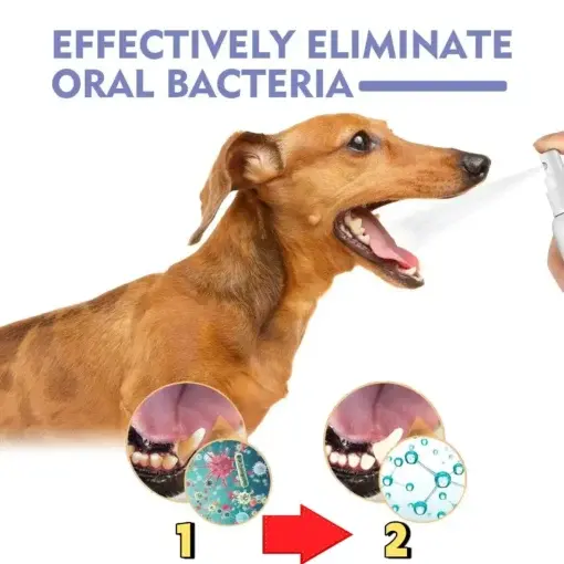 No-Brushing Oral Care Spray for Dogs & Cats - Image 7