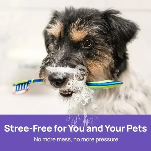 No-Brushing Oral Care Spray for Dogs & Cats - Image 8