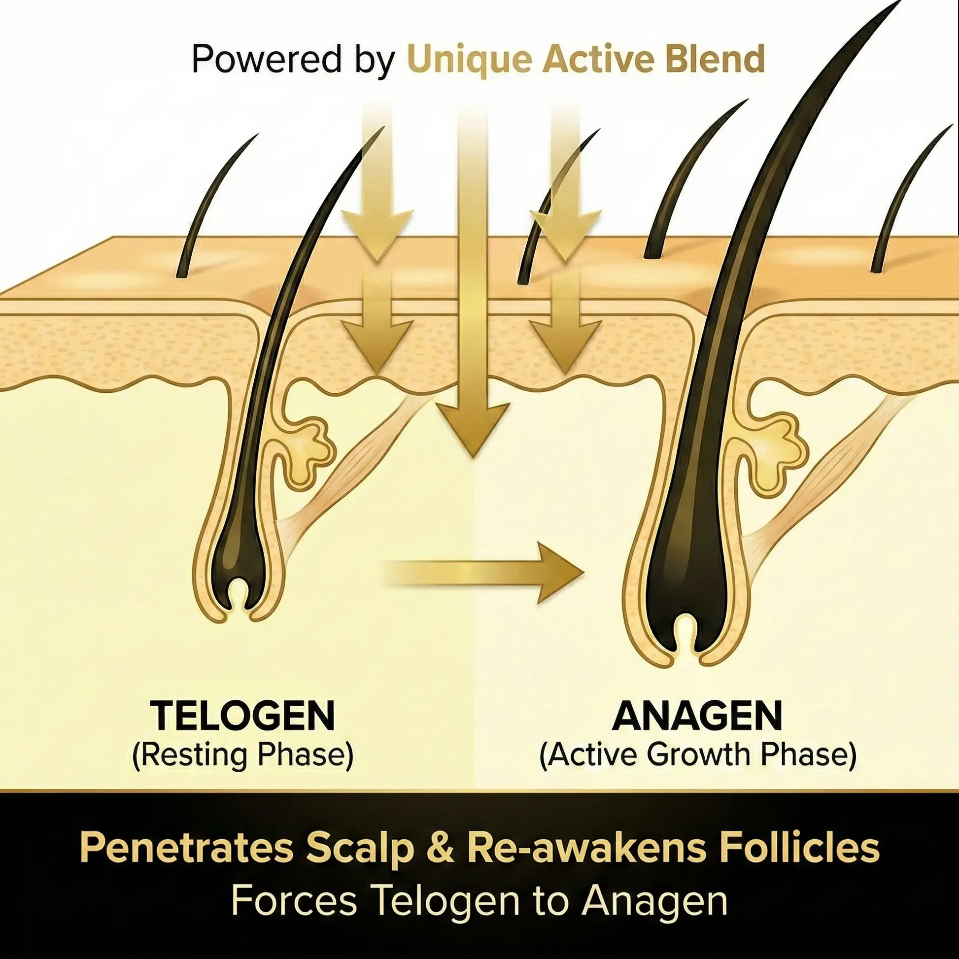 Hair Regrowth Capsules - Image 7