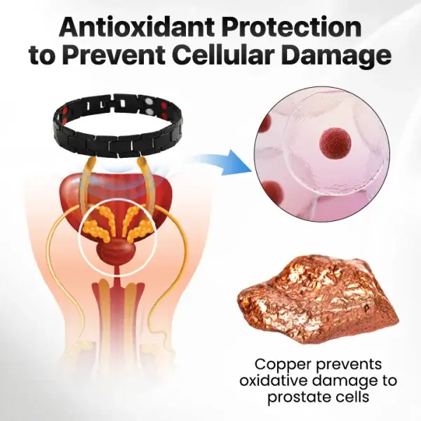 ProstaLift Magnetic Therapy Band - Image 5
