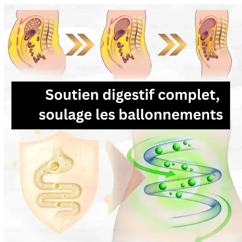 Gouttes Minceur à la Moringa - Image 2