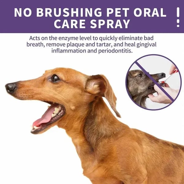 Teeth Cleaning Spray for Dogs & Cats - Image 8
