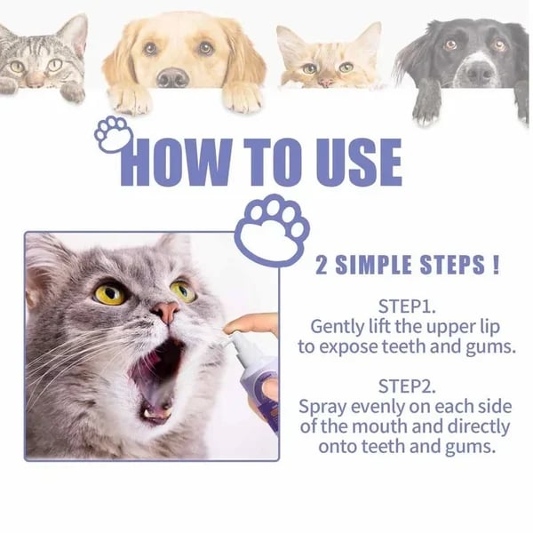 Teeth Cleaning Spray for Dogs & Cats - Image 9