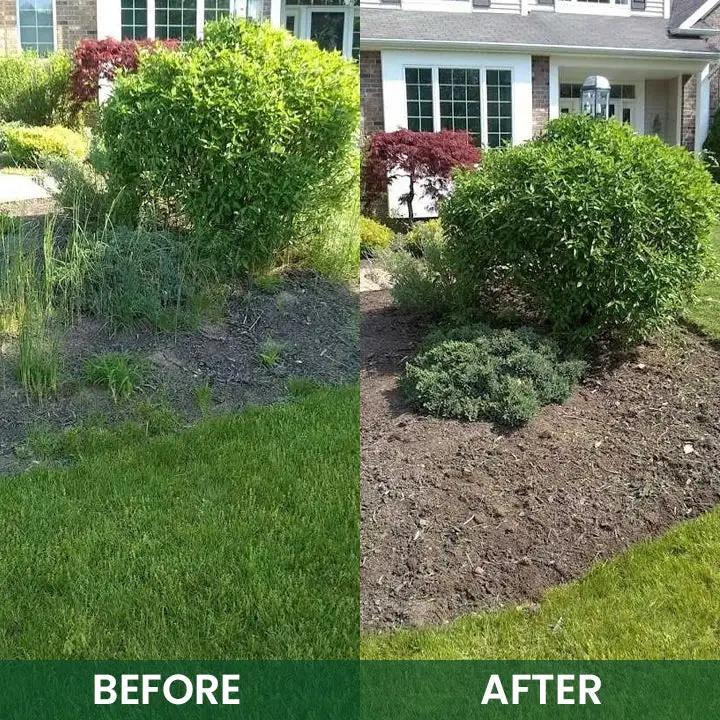 Powerful Herbicide Granules - Image 12