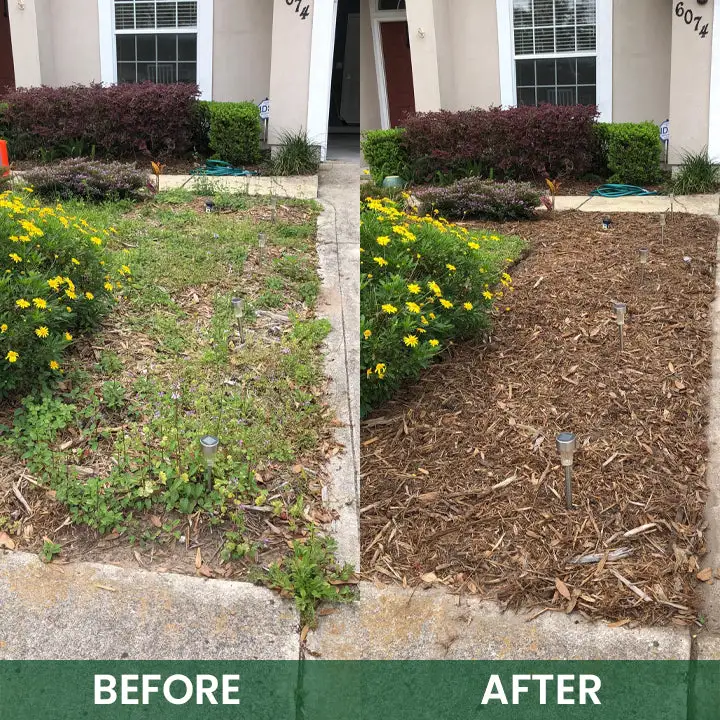 Powerful Herbicide Granules - Image 13