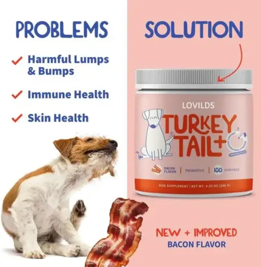 Turkey Tail Mushroom + Probiotic Formula - Image 6