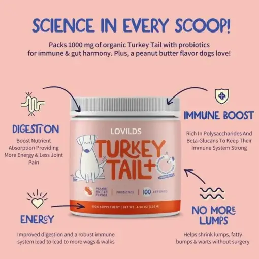 Turkey Tail Mushroom + Probiotic Formula - Image 9