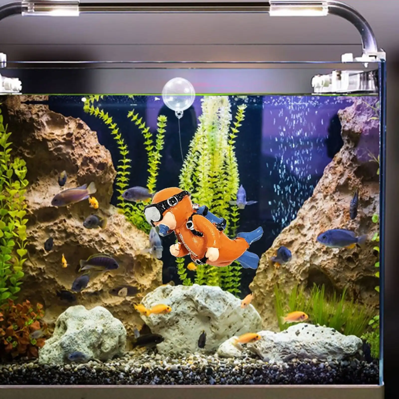 Lovely Diver Fish Tank - Image 5