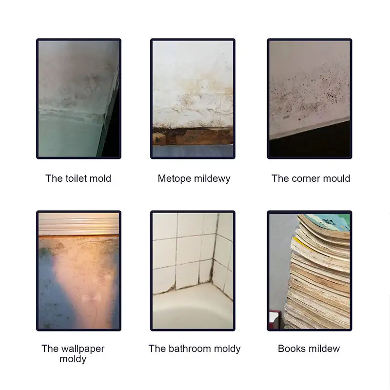 Mildew Cleaner Foam - Image 3