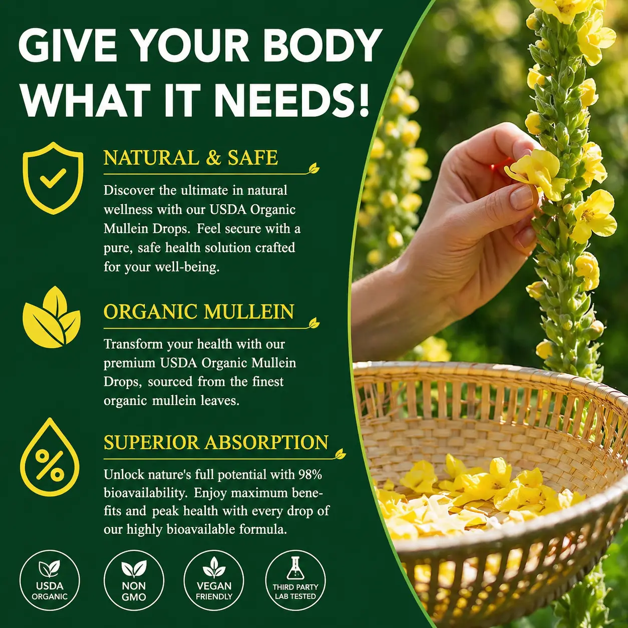 Mullein Leaf & Chlorophyll Drops for Lung Cleanse & Mucus Support - Image 7